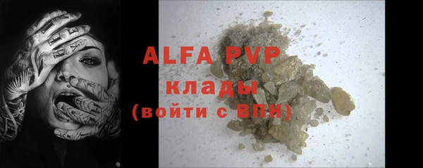 гашик Богданович