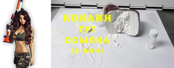 гашик Богданович
