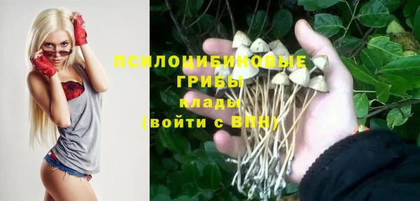 МДМА Богородск