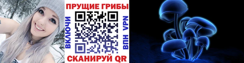 закладки  Козьмодемьянск  Галлюциногенные грибы мухоморы 